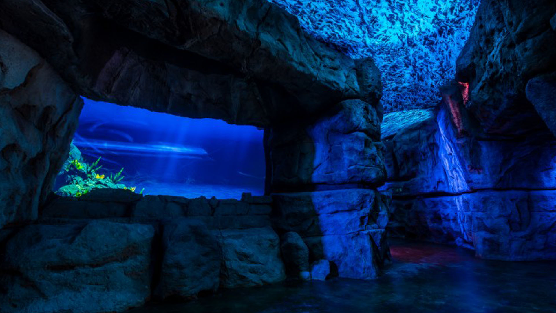 Foto4-Dinopolis_Secuoya-nexus