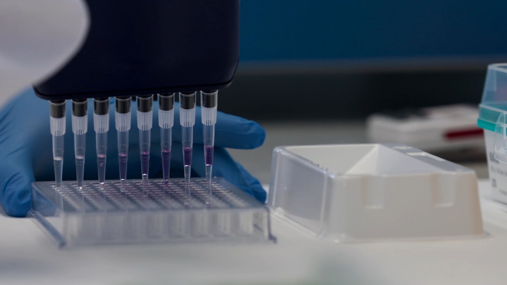 Fotograma3_Caixabank_Secuoya-nexus