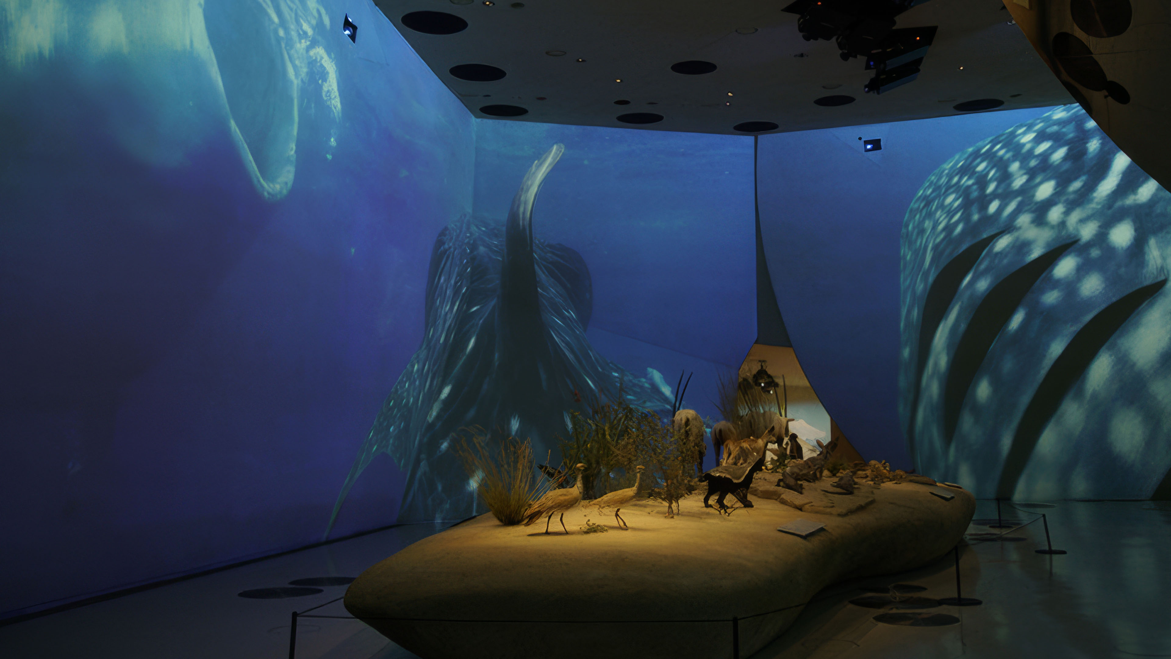 Overlay-Museo-Nacional-Qatar_Secuoya-nexus Portada_Organon_Secuoya-Nexus