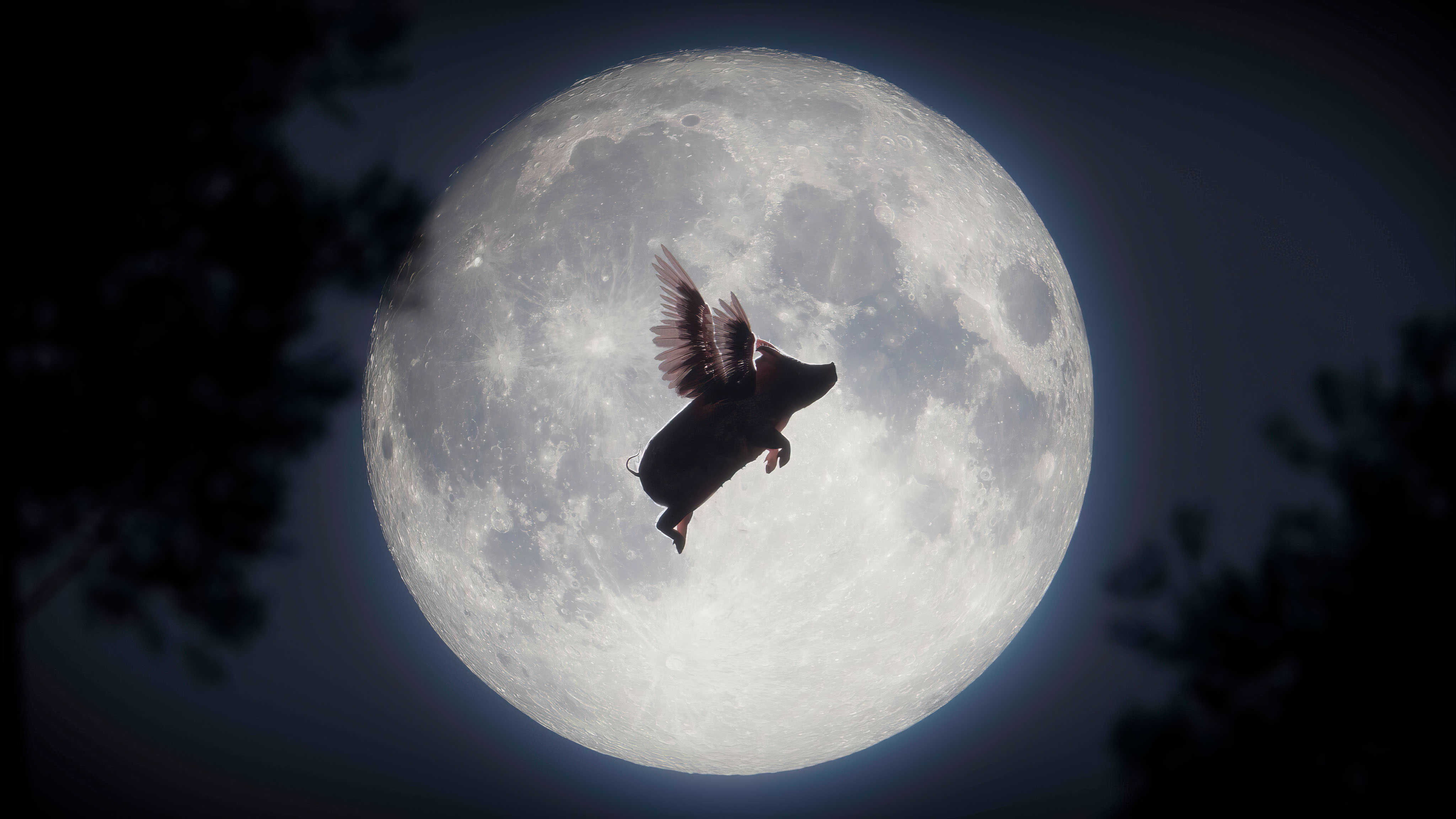 Overlay-Tactics-Europe_Secuoya-nexus