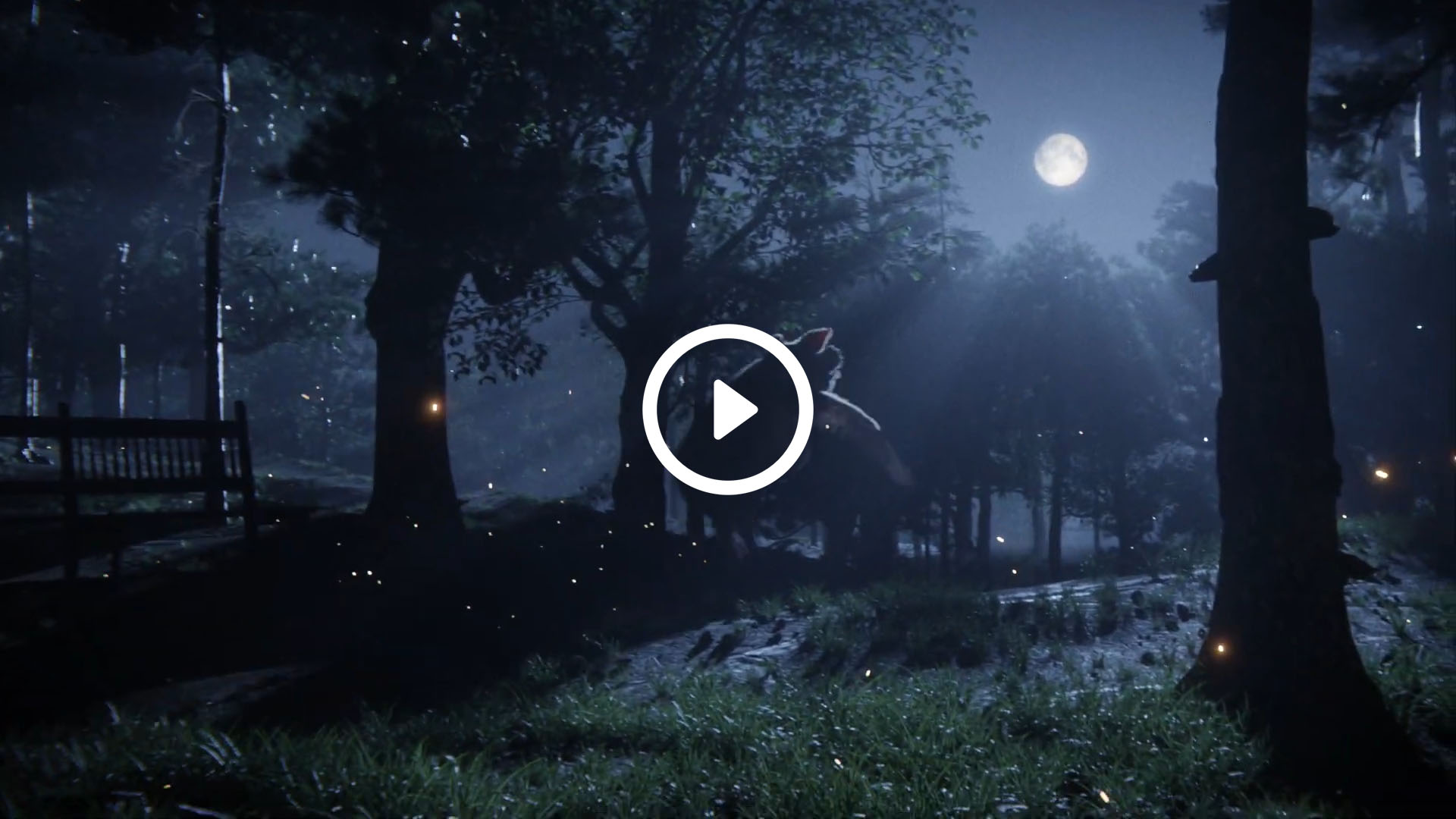 Video-Tactics-Europe_Secuoya-nexus